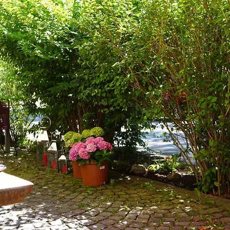 Landgasthof Auerschmiede Hotel *